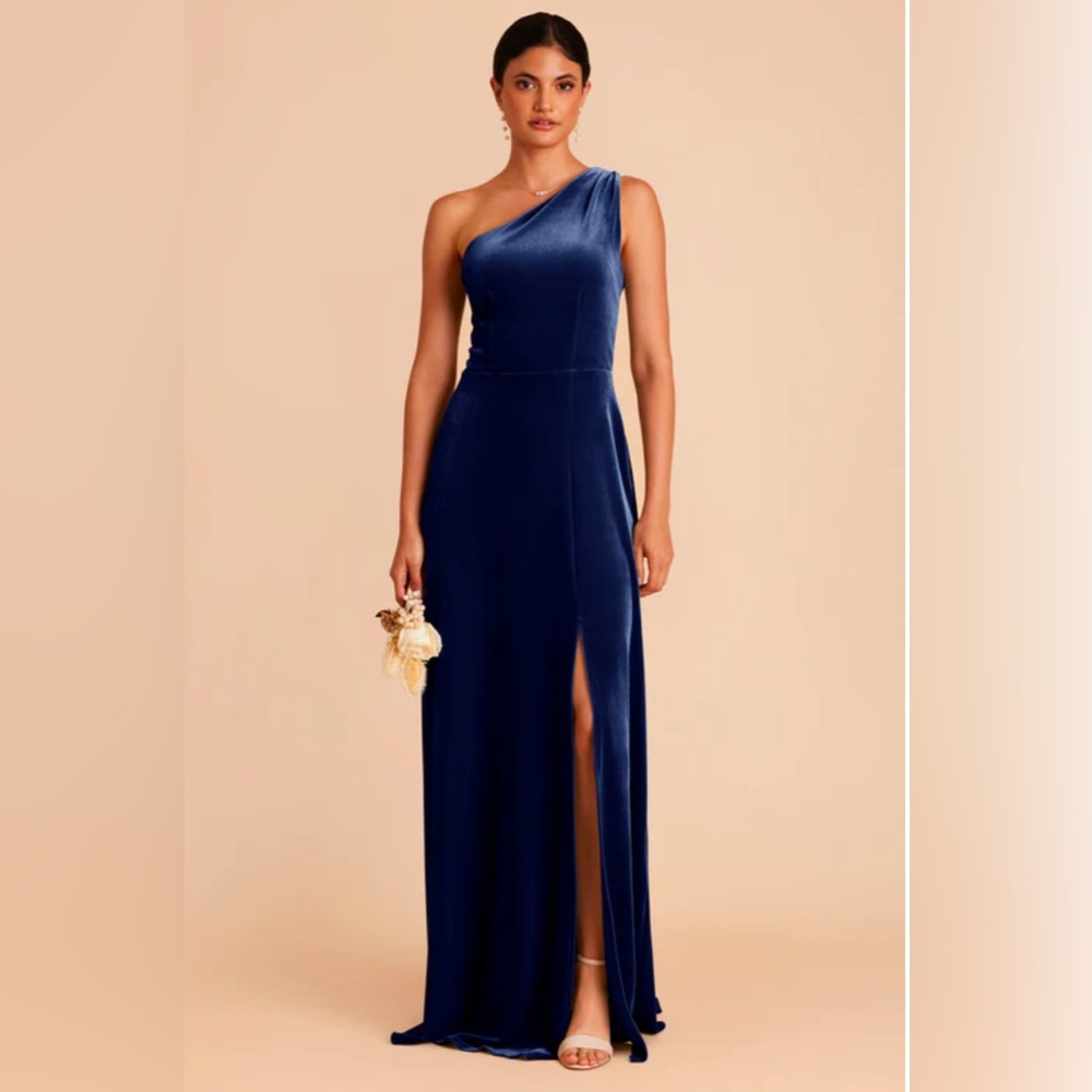 NWT Birdy Grey Kira Dress